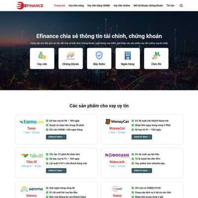 Theme wordpress dịch vụ tài chính 01