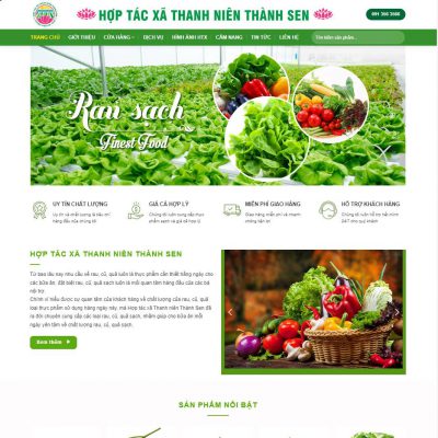 Theme wordpress thực phẩm sạch 08